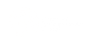 Museum Of Contemporary Art Chicago